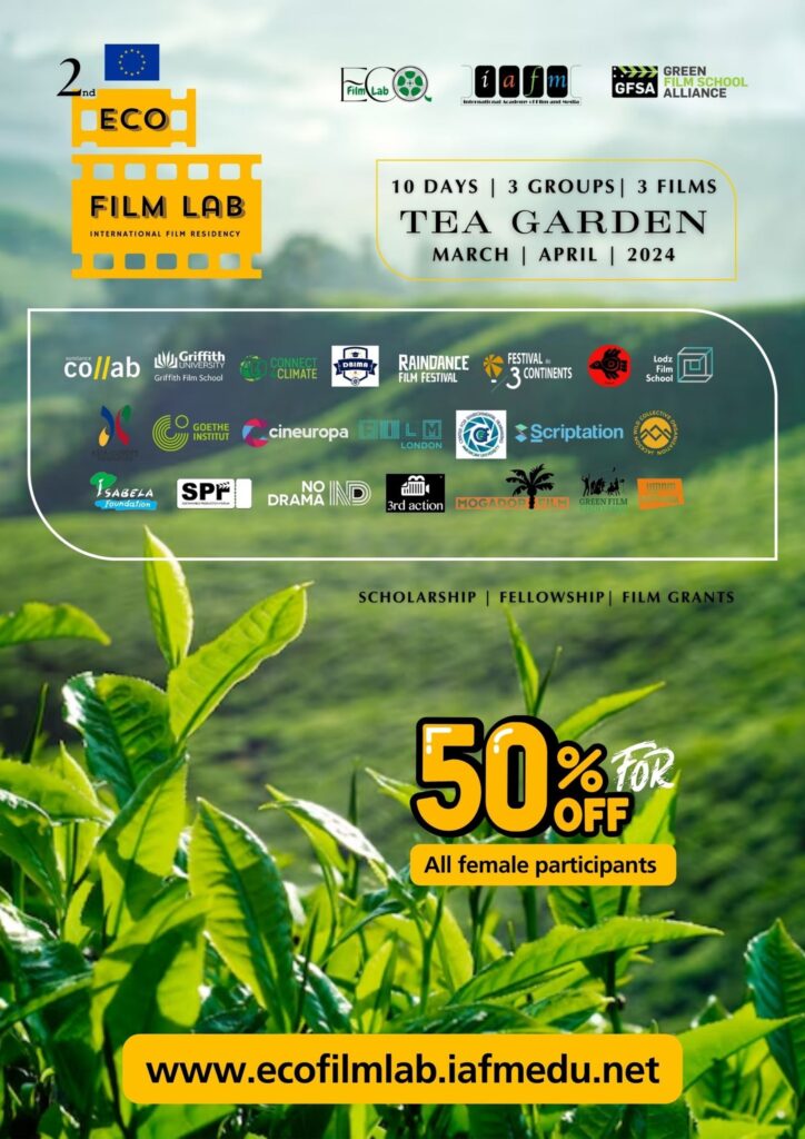 490598212 1272962248169955 51694388260879971 n