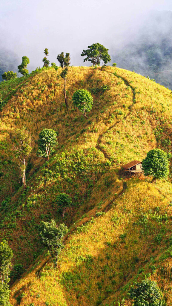 a38ced242204f0056da6edae0f0514cc